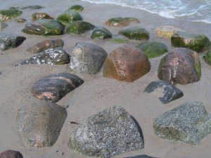 IMG_2051