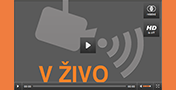 V_zivo