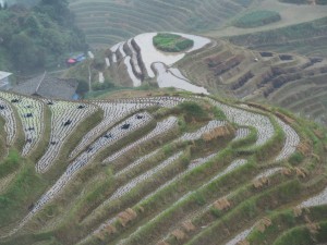 IMG_4146