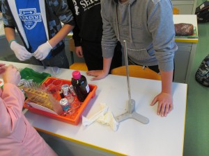 IMG_4508