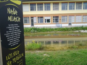 AMS_Vrhnika_mlaka