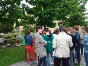 AMS_Vrhnika_rastlinstvo