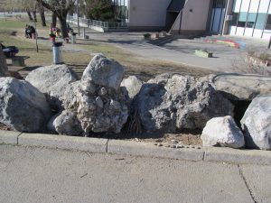 img_6444