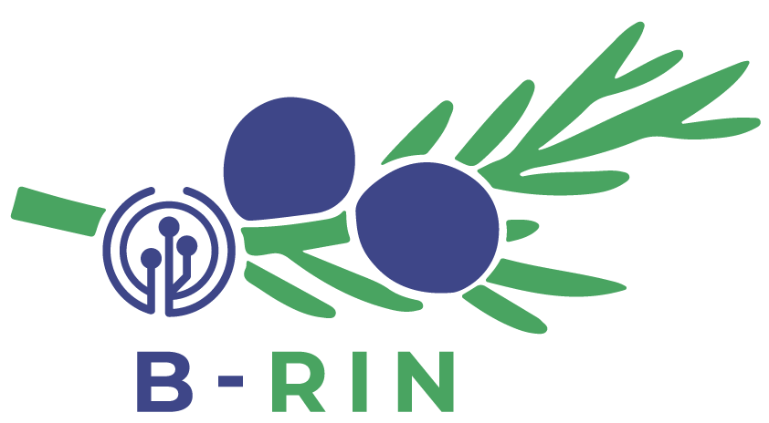 B RIN logo barvni1 3
