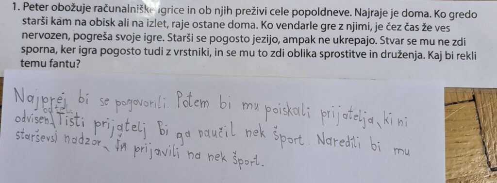 Mislinjske Spletne Brihte