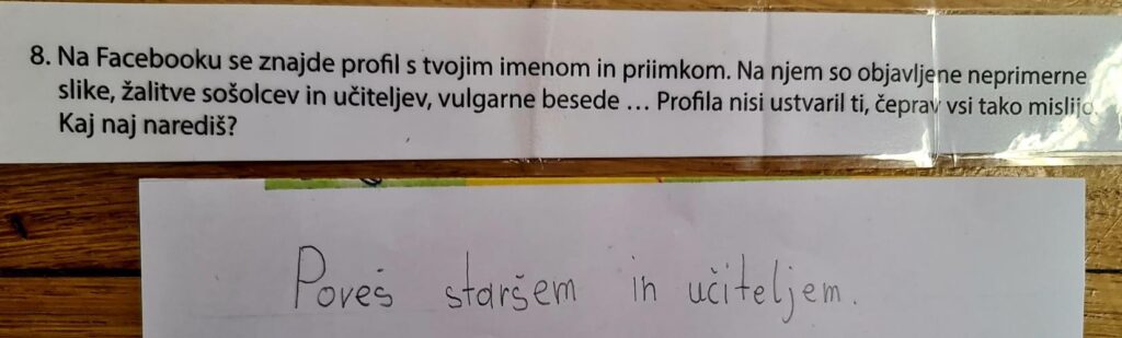 Mislinjske Spletne Brihte