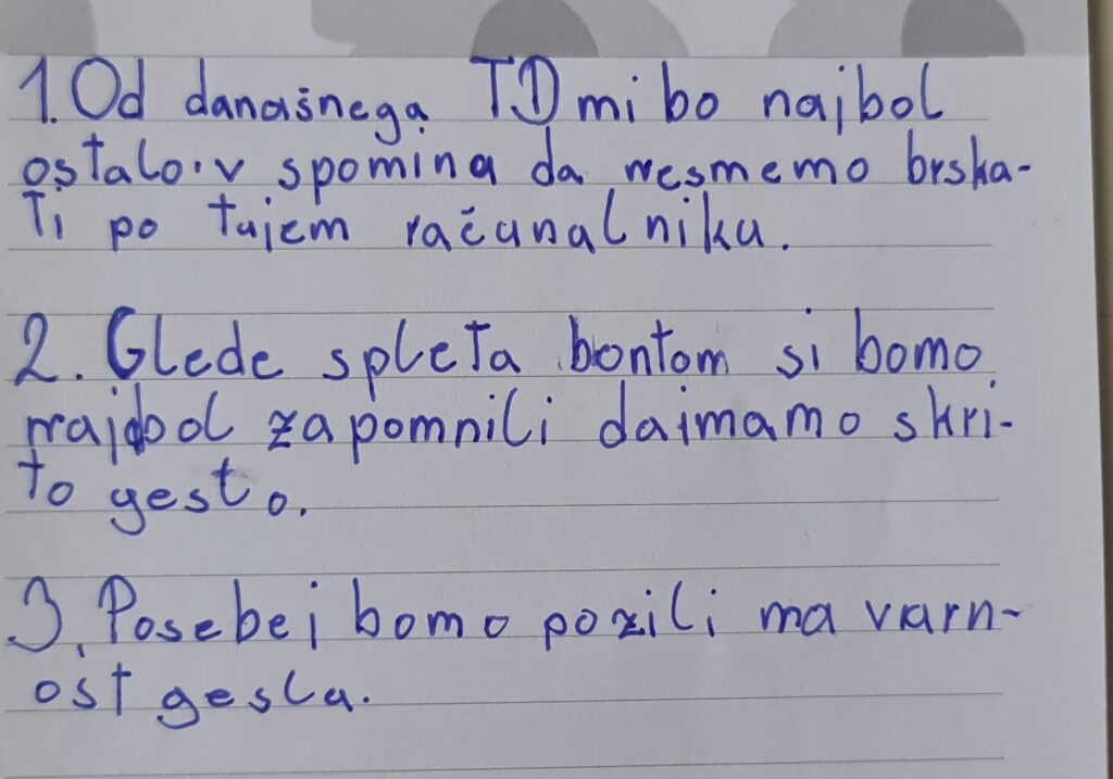 Mislinjske Spletne Brihte