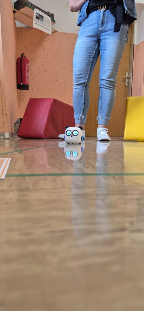 Hospitacijsko usposabljanje na OSPP Muta gibanje in sportna vzgoja4