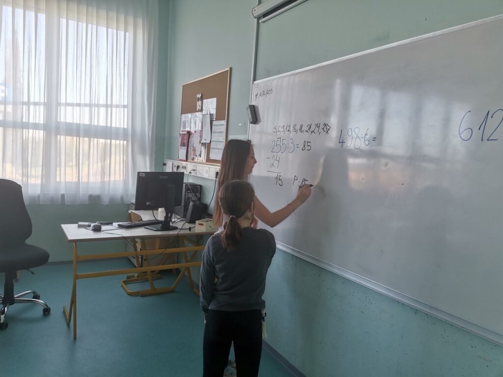 PROGRAMER