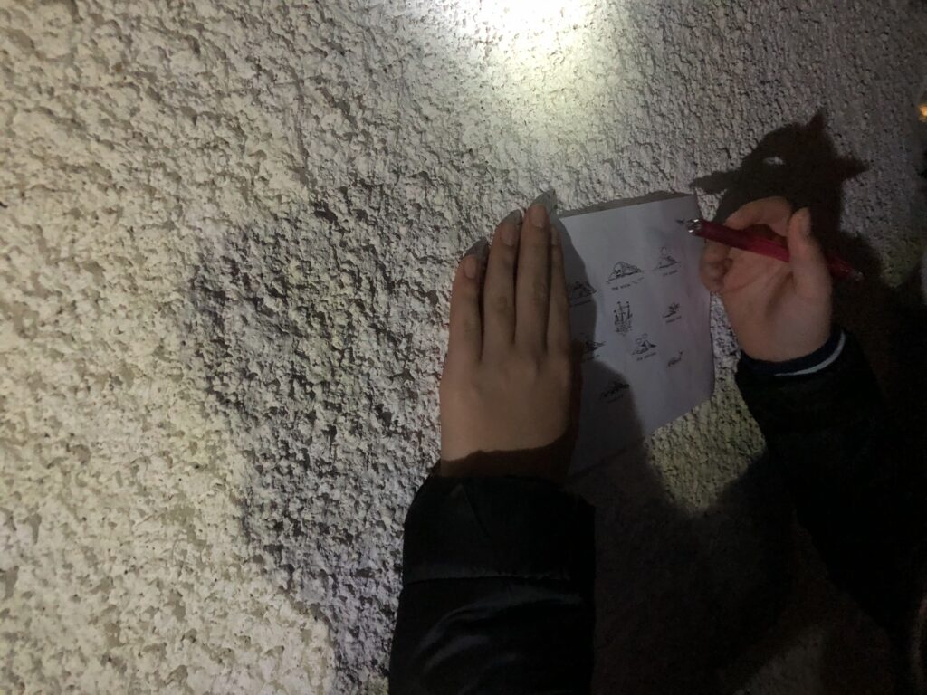 IMG 3769
