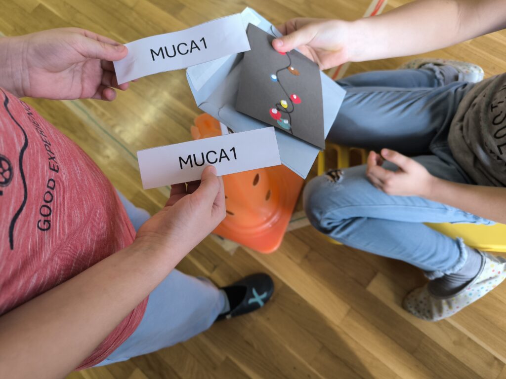 Preverjanje gesla