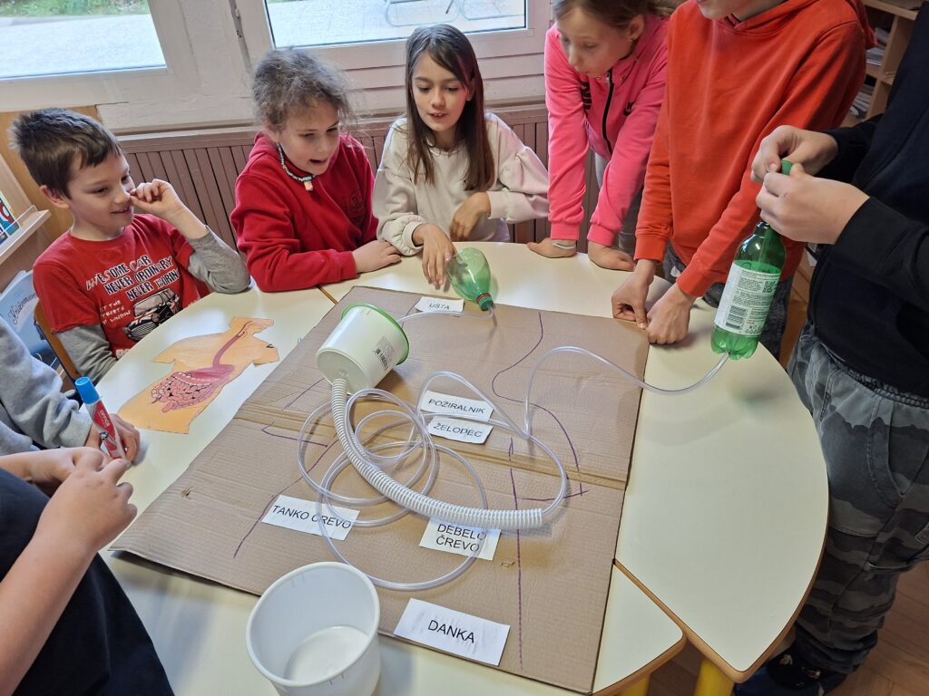 Model prebavne cevi iz odpadne embalaze