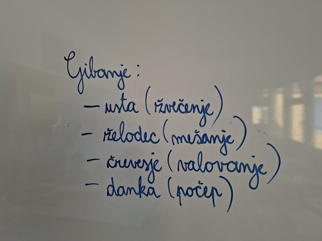 Vrste gibanja v pesmi