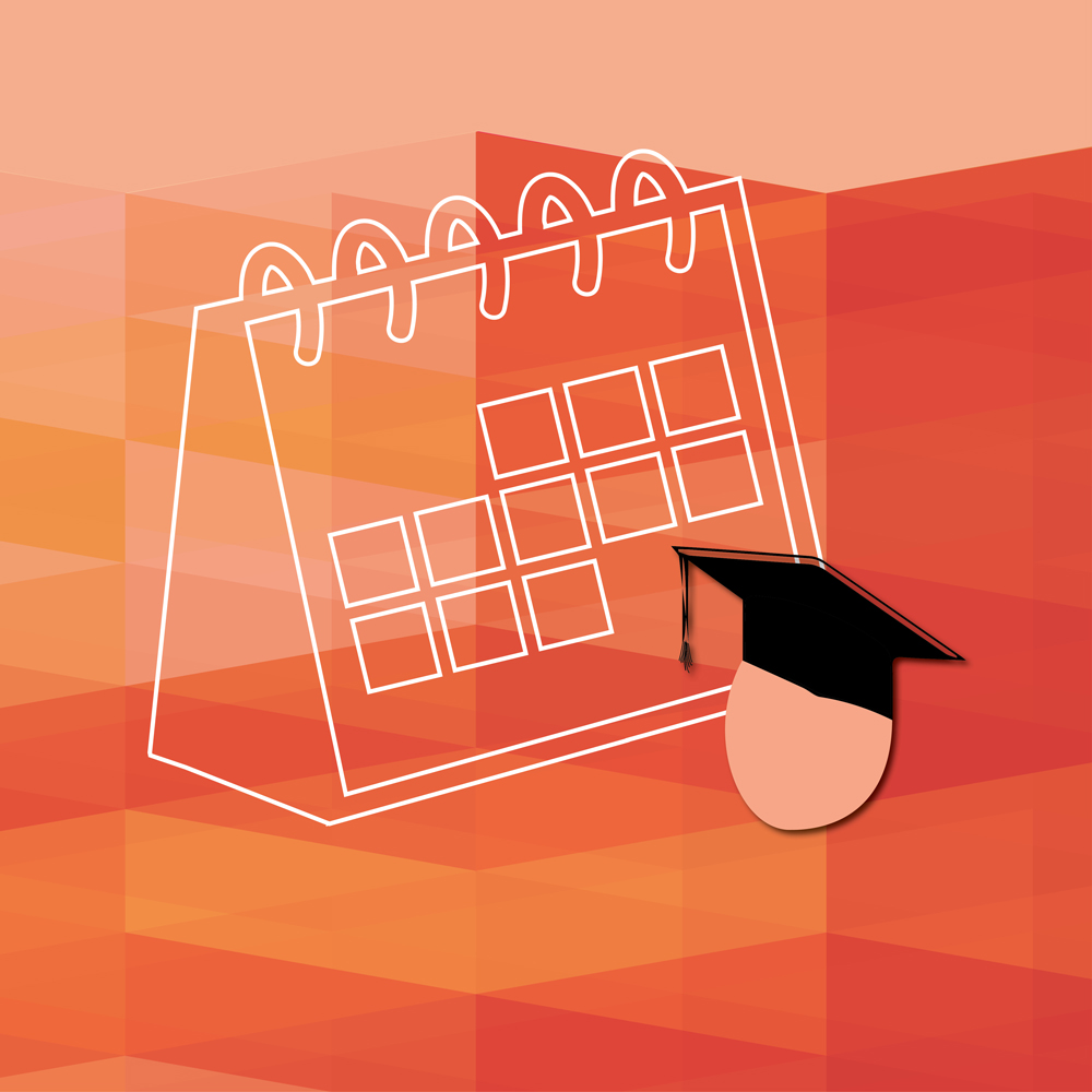 Organisation of the academic year
