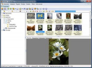 XnView