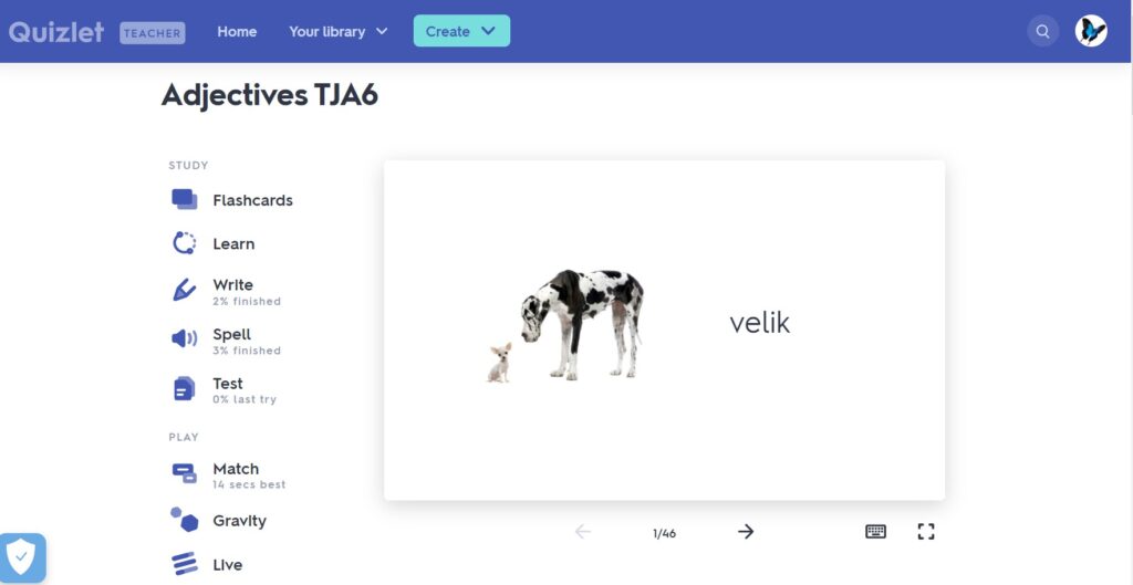 VIR: Quizlet