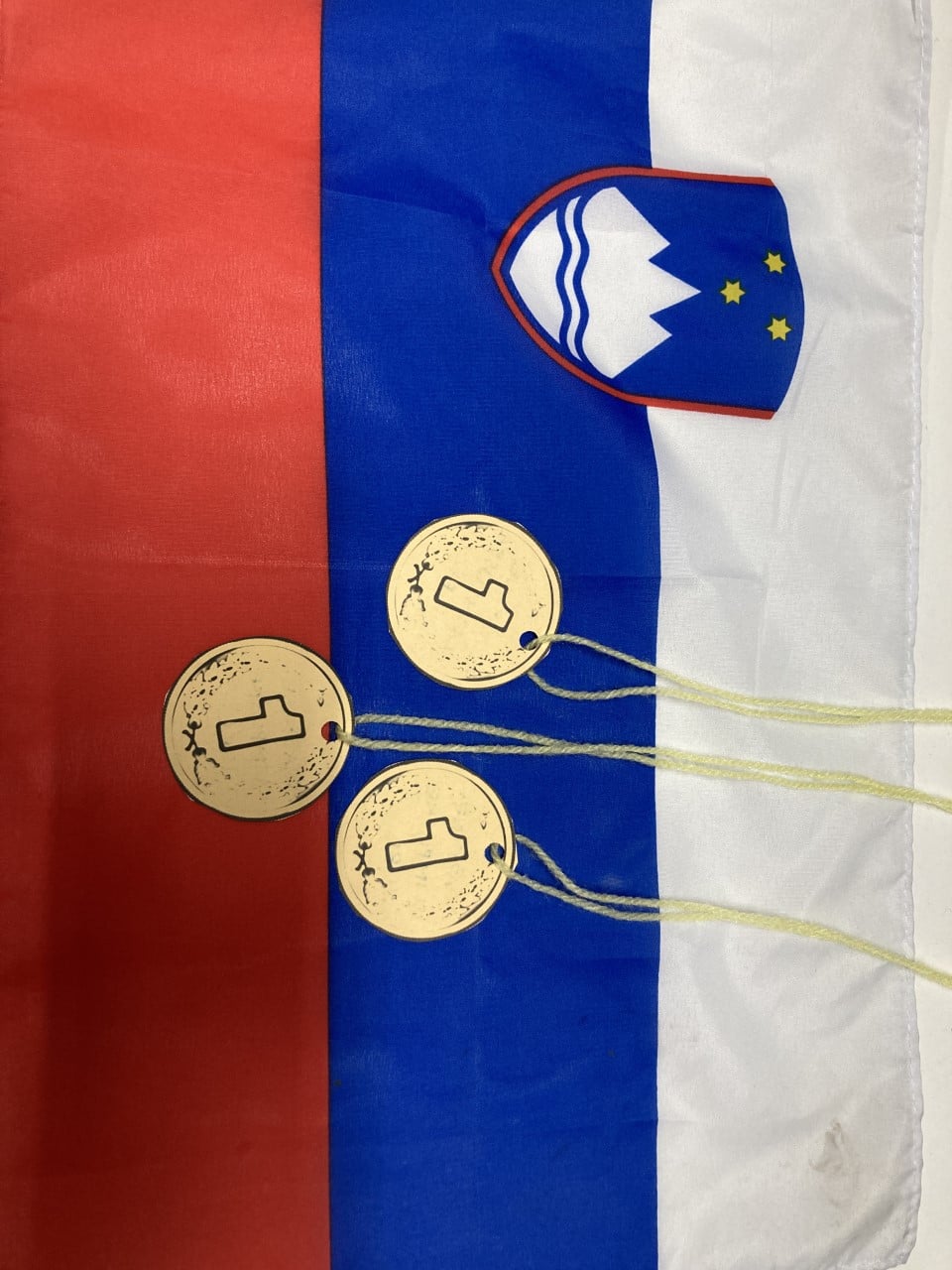 Slovenski ponos in medalje