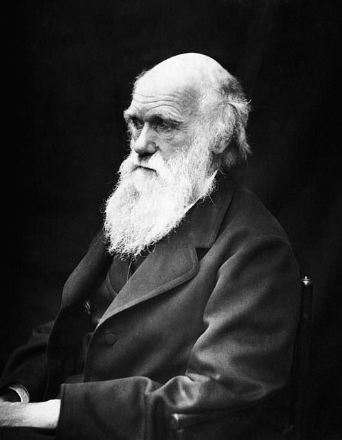 charles robert darwin 62911 640 1