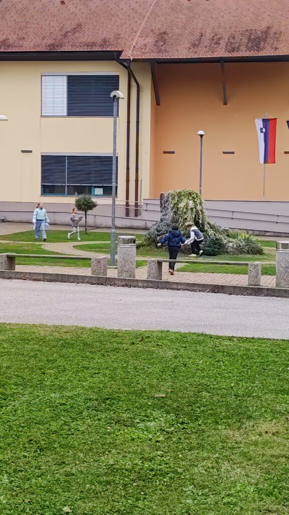 IMG 20241023 133623