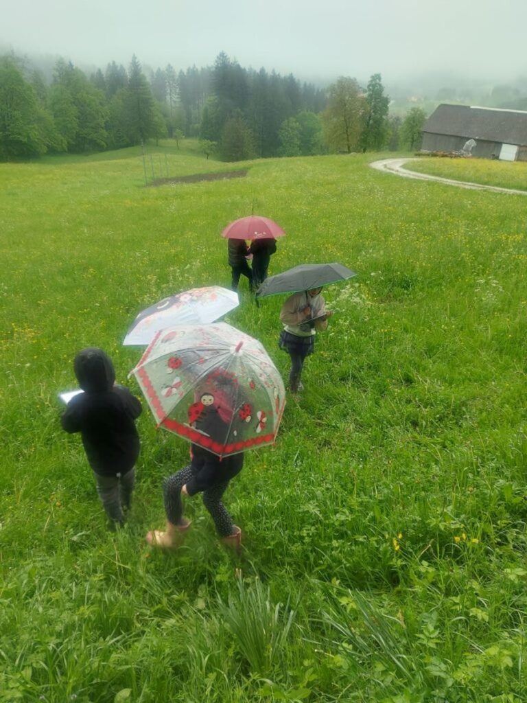 1 Cvetlice podatki in mi