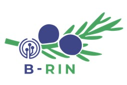 B RIN logotip 3