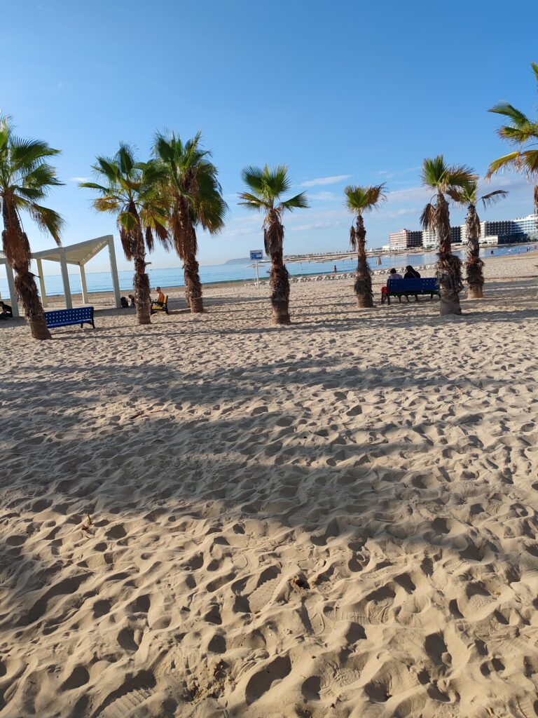 IMG 20241022 101916 Copy