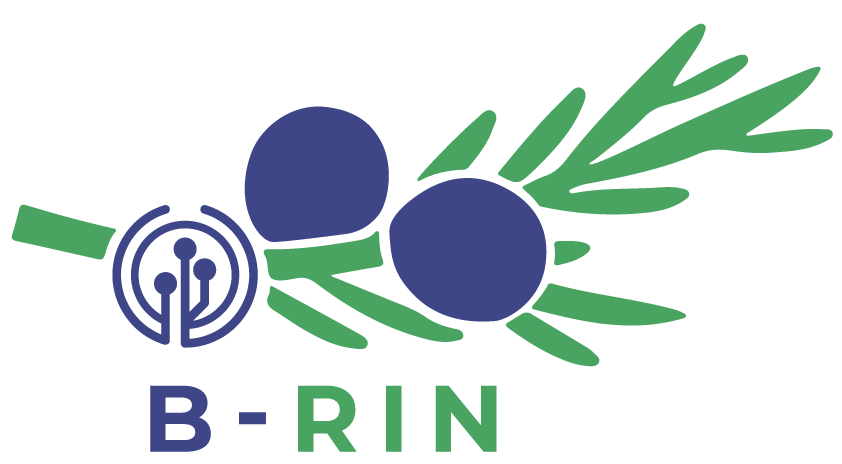 brin1